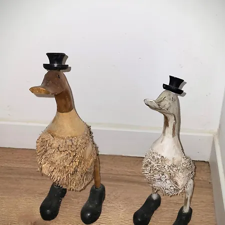 La Retraite Pyreneenne Дом отдыха Saint-Laurent-de-Neste