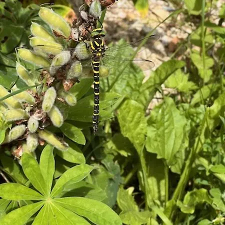 別荘 La Retraite Pyreneenne